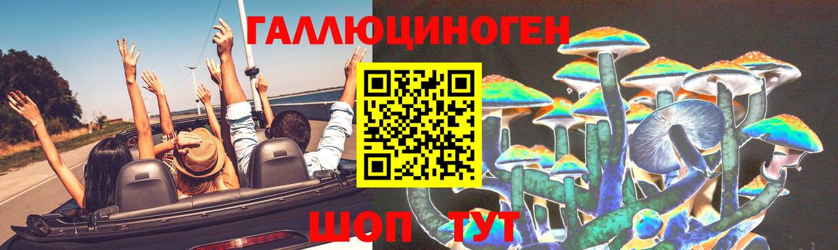 Псилоцибиновые грибы мицелий Гусев